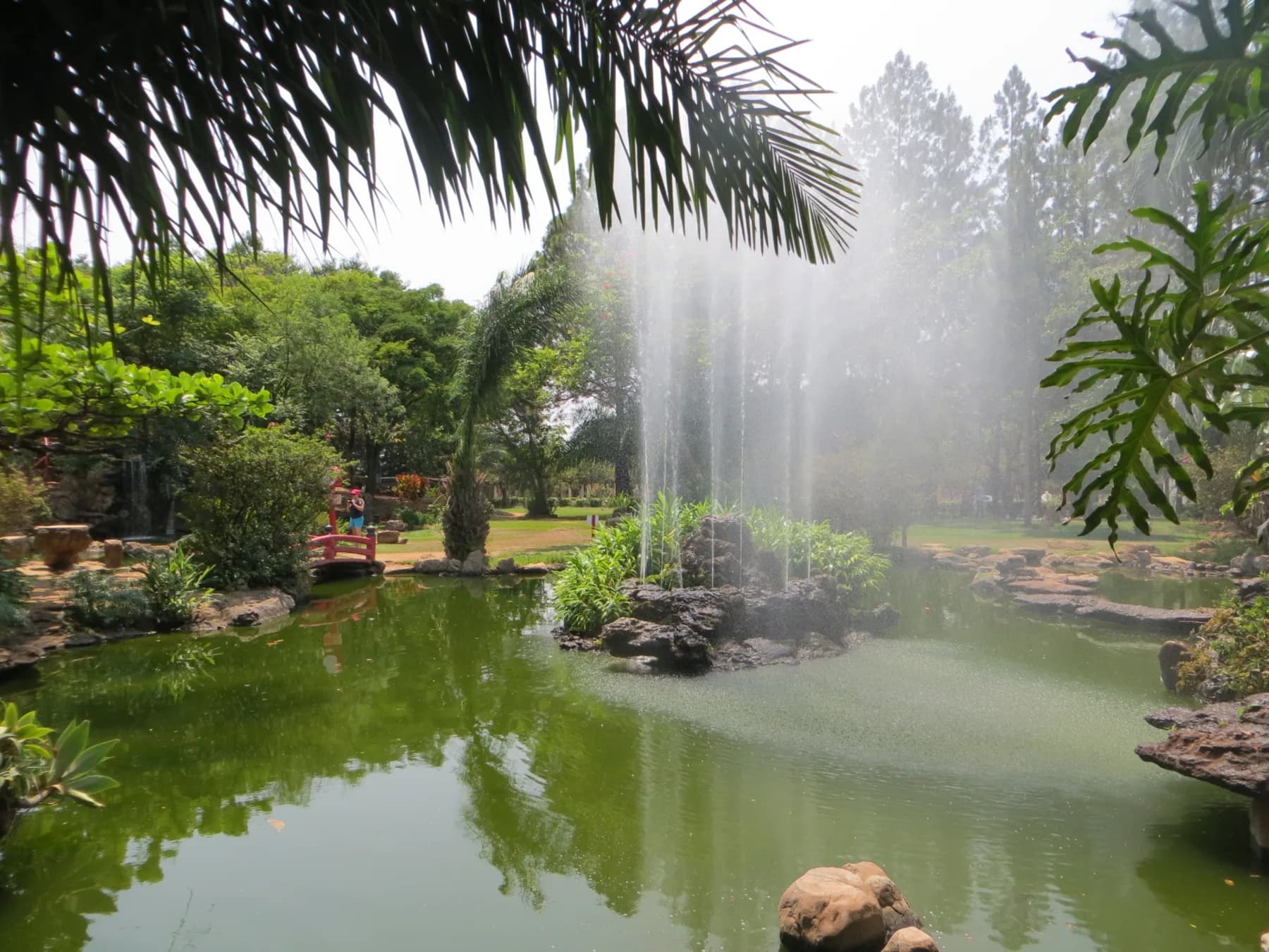 Parque com lago e vegetação em Caldas Novas